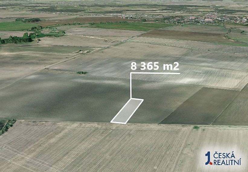 Pole 8 365 m², Podíl 26 % o výměře 2 138 m²