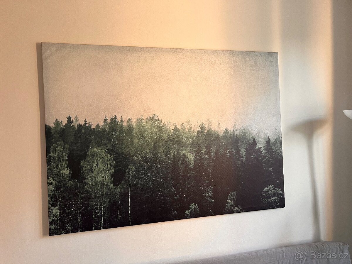 Obraz na zeď IKEA - les, rozměr 140x100cm