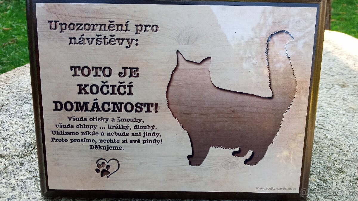 ÚŽASNÁ PERSKÁ koťátka PRO ŠTĚSTÍ....TRIKOLÓRY