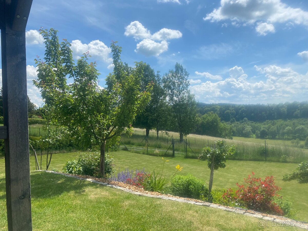 Poptavame bostonskeho teriera/buldocka do rodiny