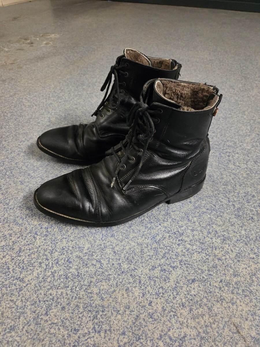 Zimni pérka Cassini