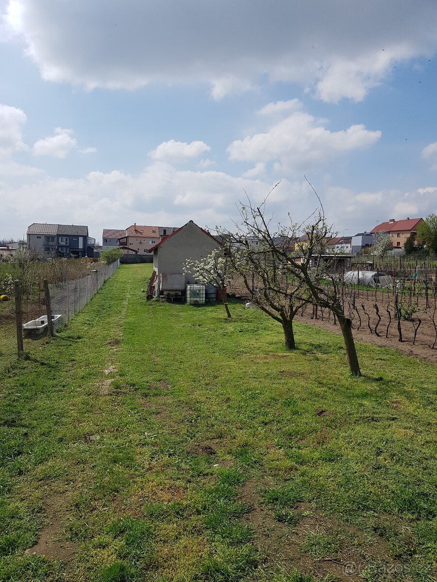 Prodám zahradu v Lužicích