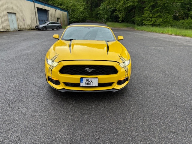 Ford Mustang 2,3 ECOBOOST, kabroilet