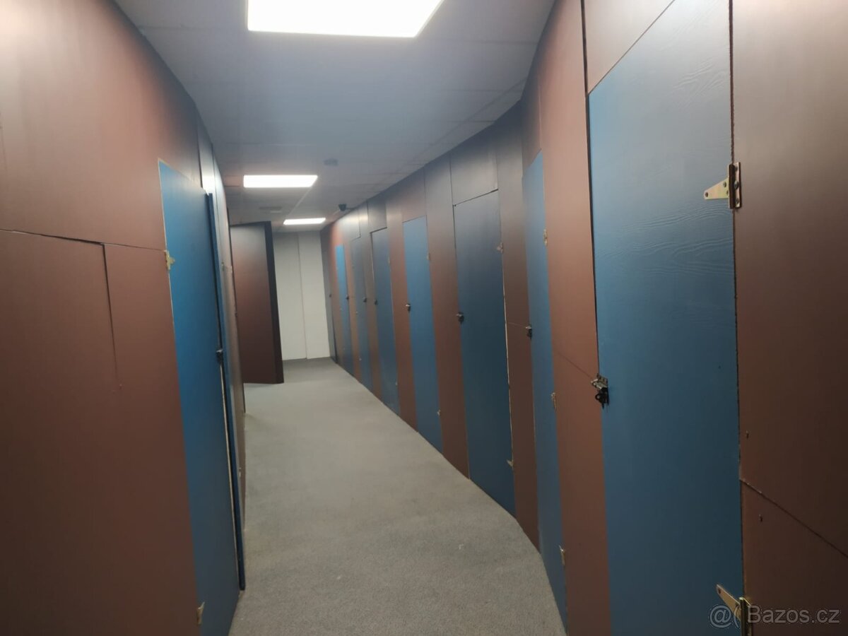 SLADOVACI KOJI PLZEN.