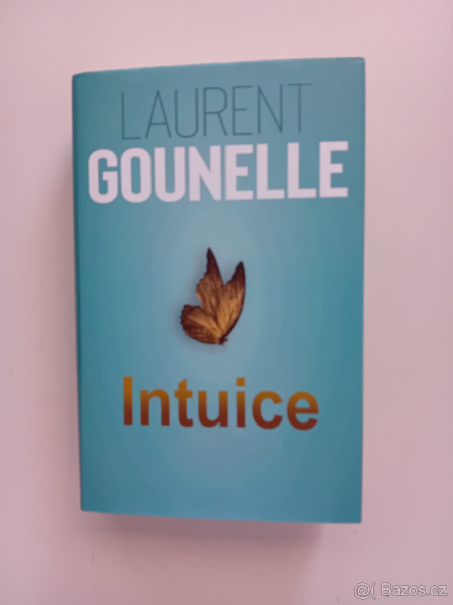 Intuice - Laurent Gounelle