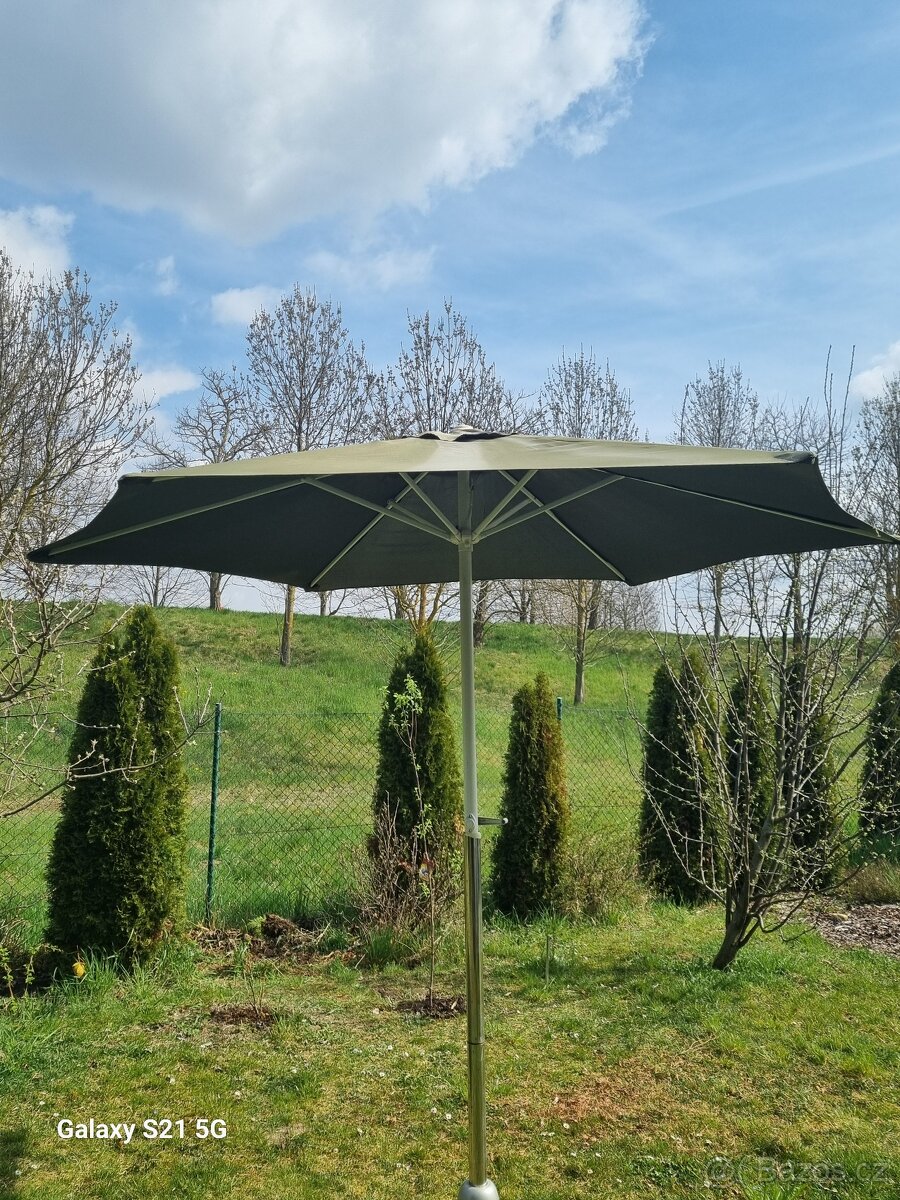 slunečník