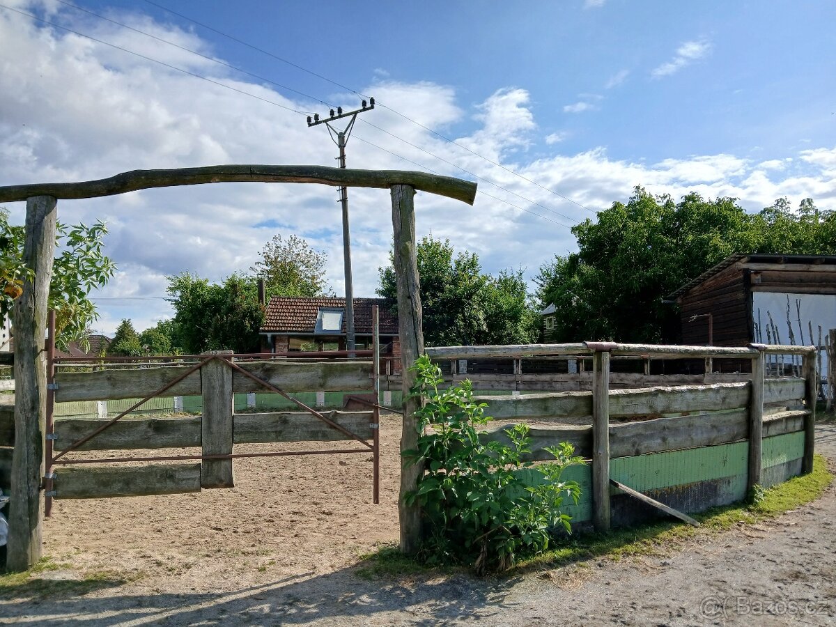 Ustájení koně