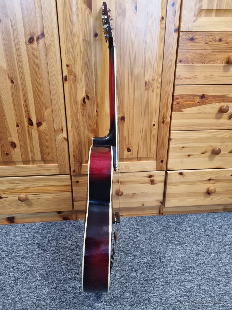 Gibsonka celomasiv