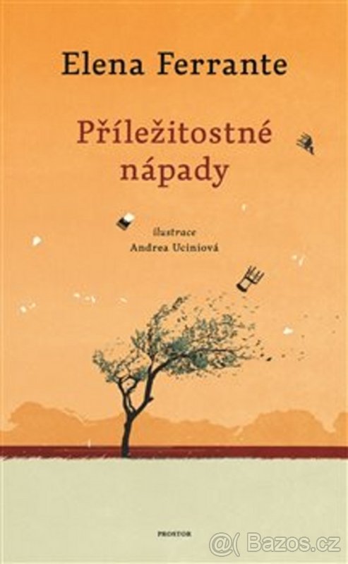 Příležitostné nápady (Elena Ferrante)