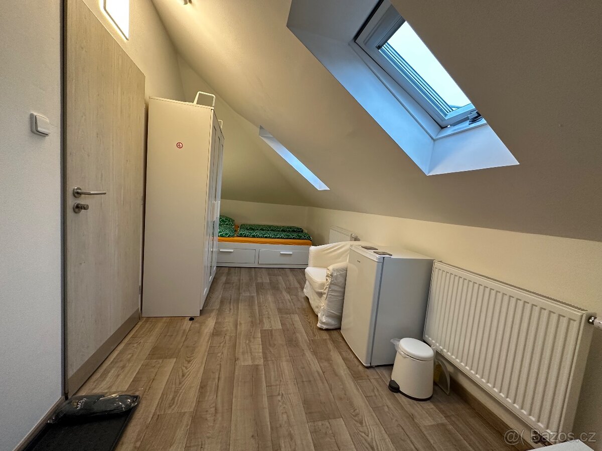 NABÍZÍM KOMPLETNĚ ZAŘÍZENÝ PRONÁJEM PARKOVÁNÍ WIFI ZAHRADA