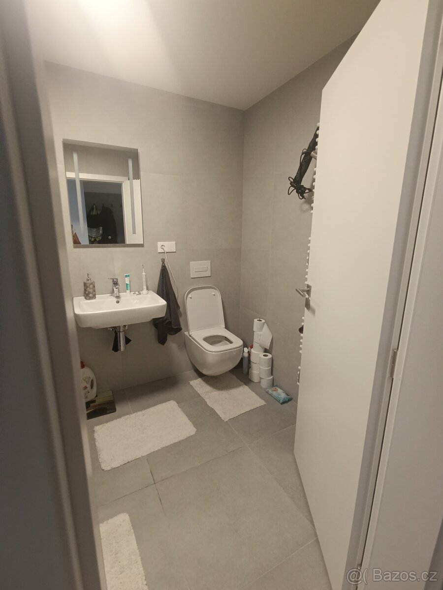 Pronájem bytu 1+kk, novostavba Opava, Císařského pluku