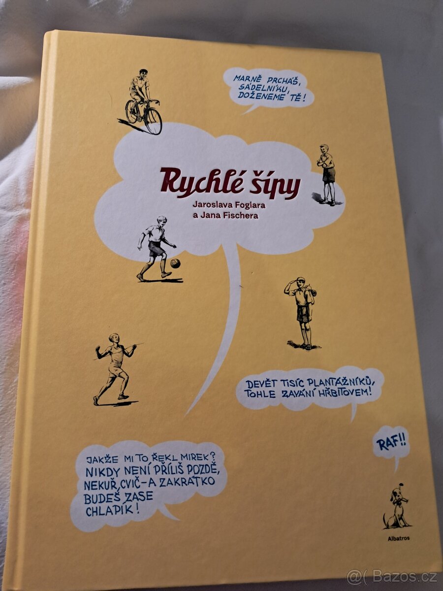Rychle sipy