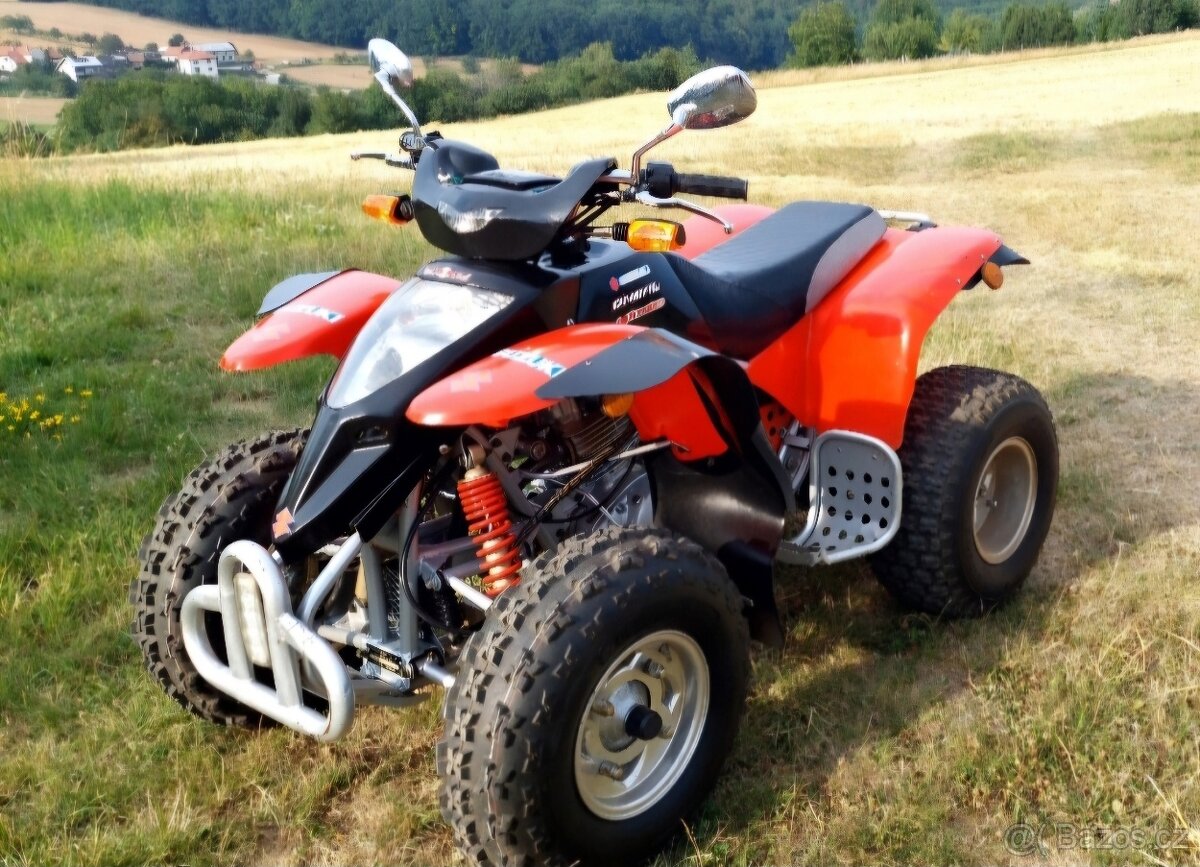 Suzuki baja extreme 300