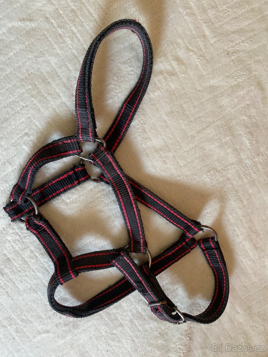Ohlávka pony/cob