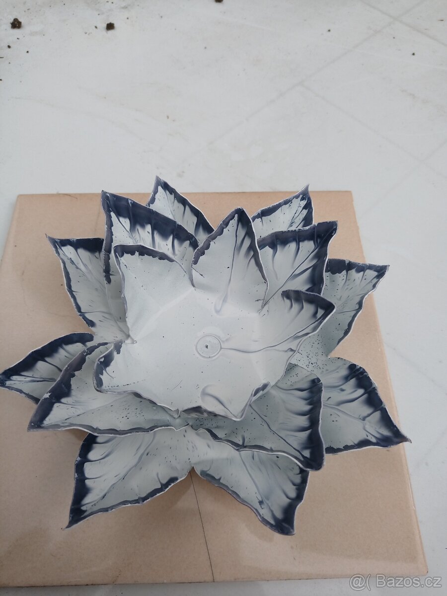 Lotosový květ , růže