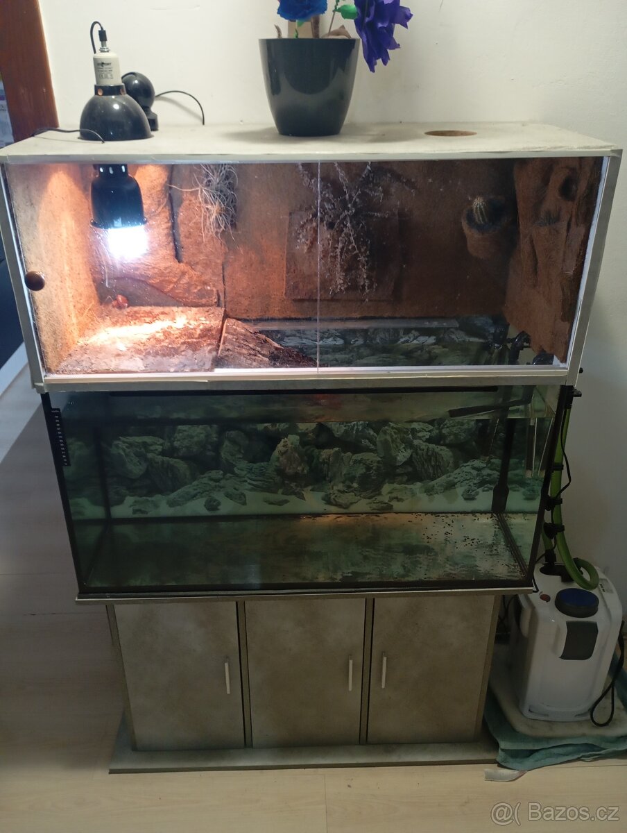 Akvárium pro vodní želvu