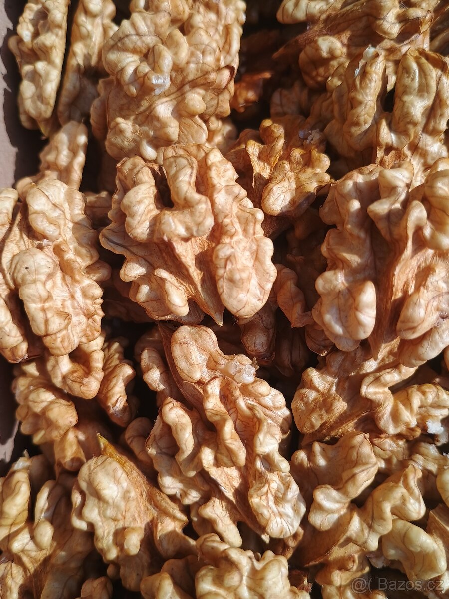 Vlašské ořechy - pouze celá jádra a půlky