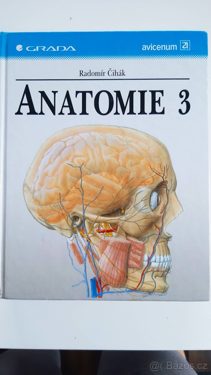 Anatomie Čihák
