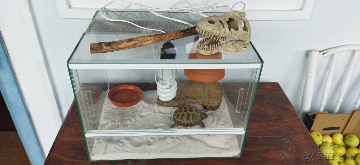 Prodám  terárium