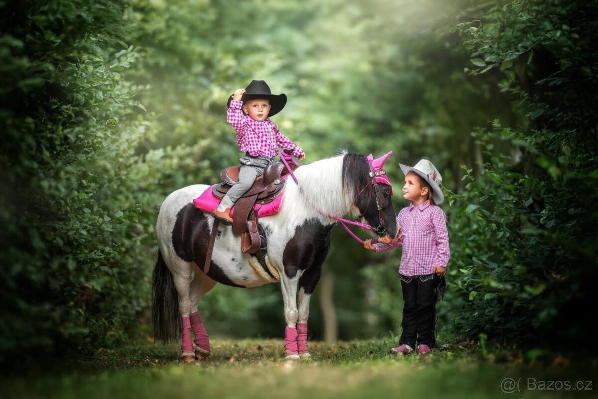 Úžasná pony kobylka