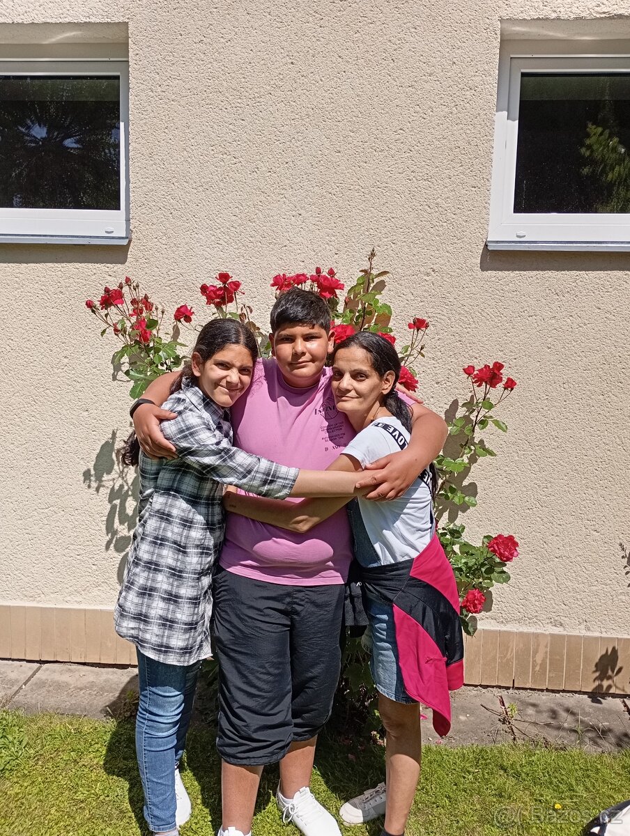 Pronájem bytu nebo domu