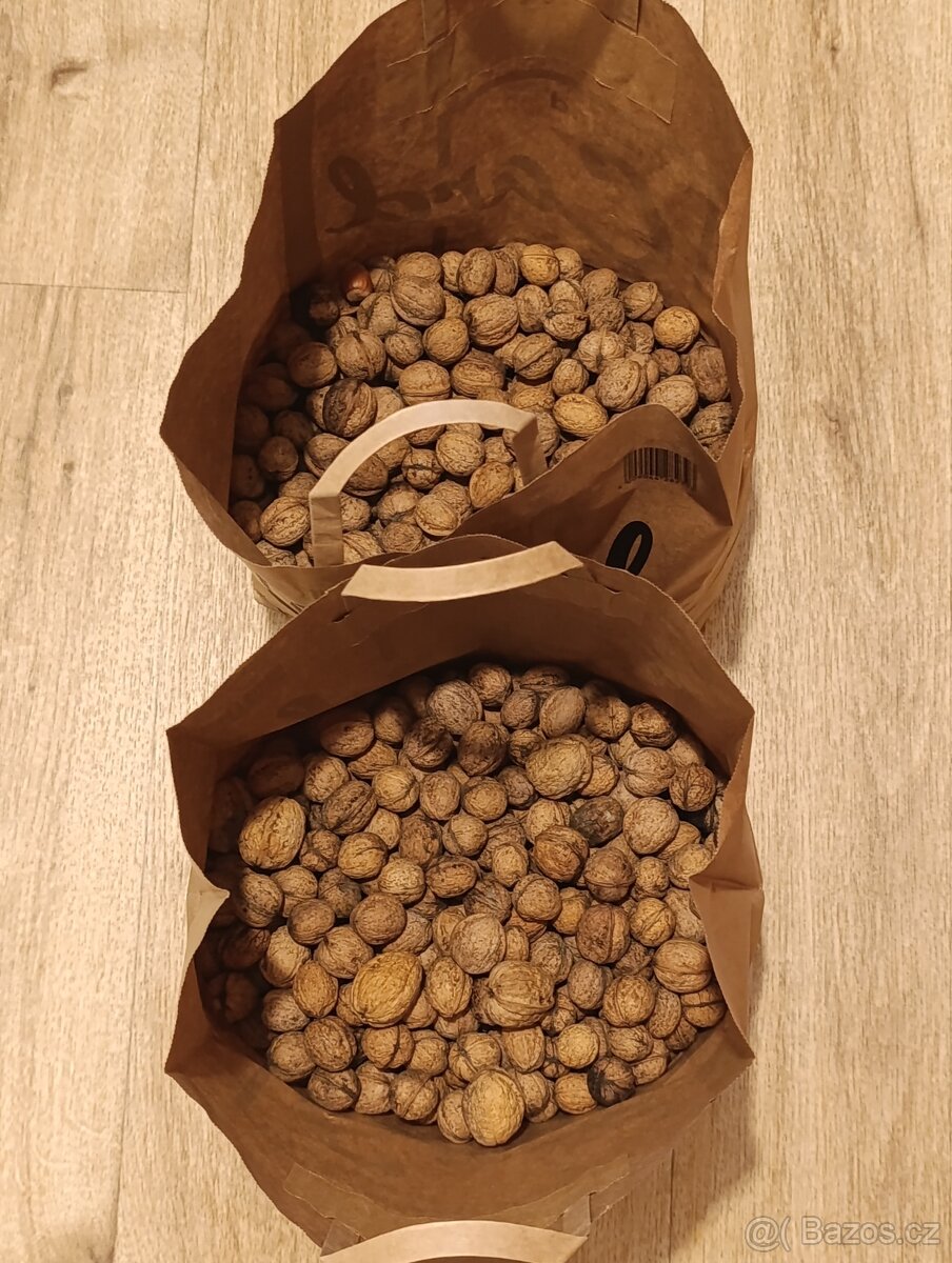 Vlašské ořechy neloupané