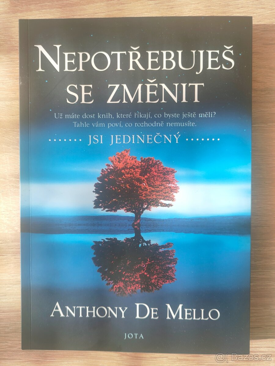 Nepotřebuješ se změnit