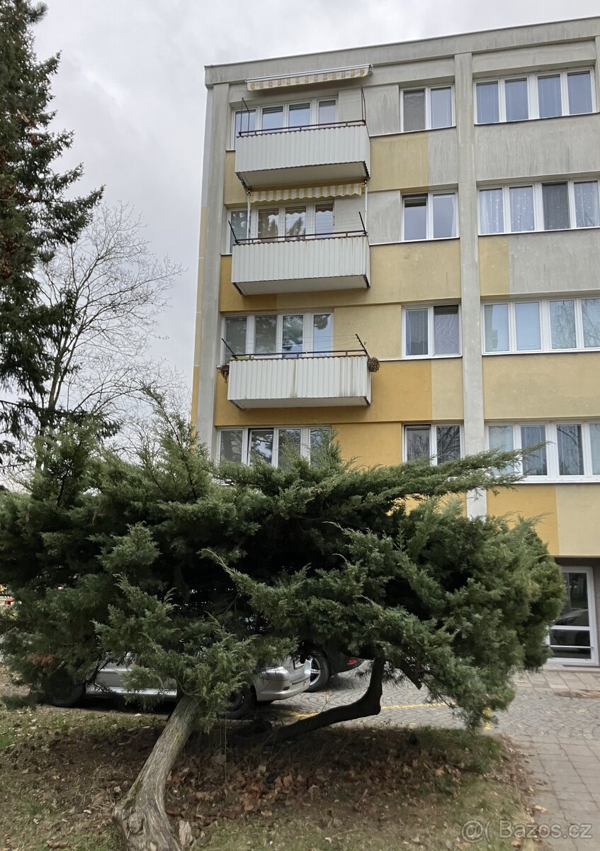 Prodej bytu 3+1, 58,5 m2, Hradec Králové, Slezské Předměstí