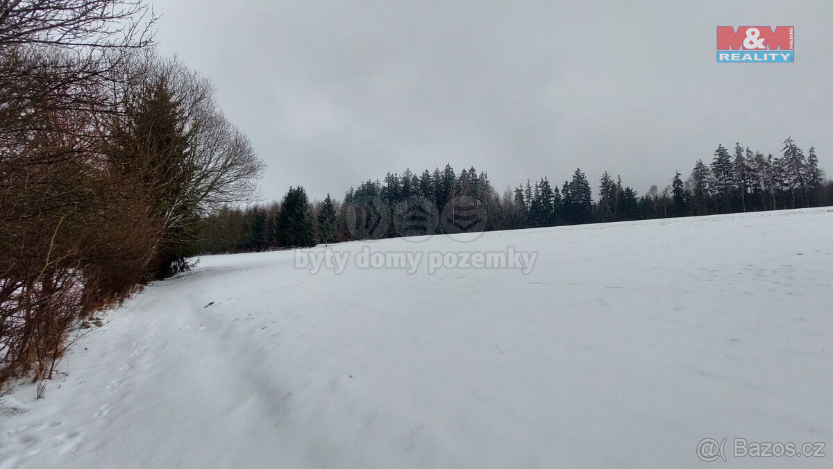 Prodej lesa, 60981 m², Česká Třebová - Svinná