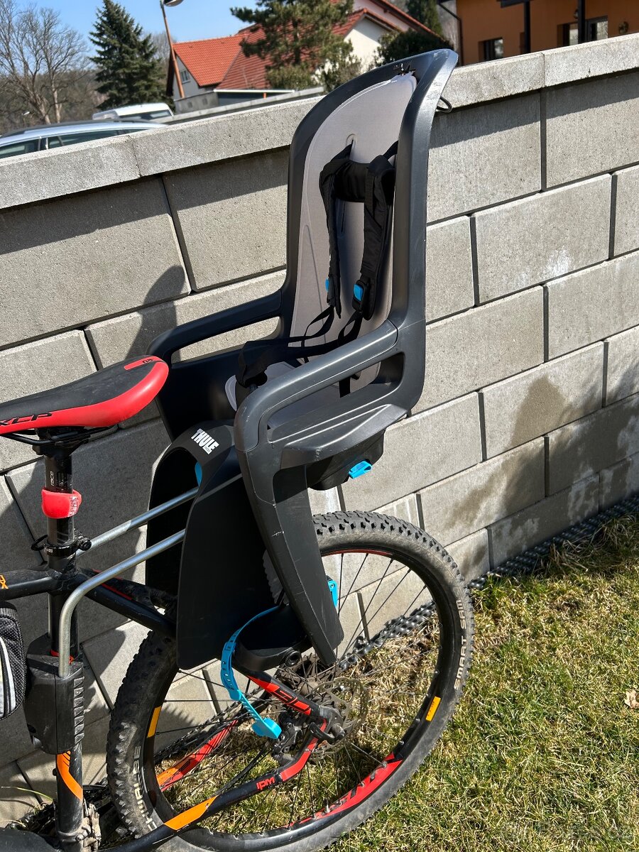 Thule RideAlong dark grey
