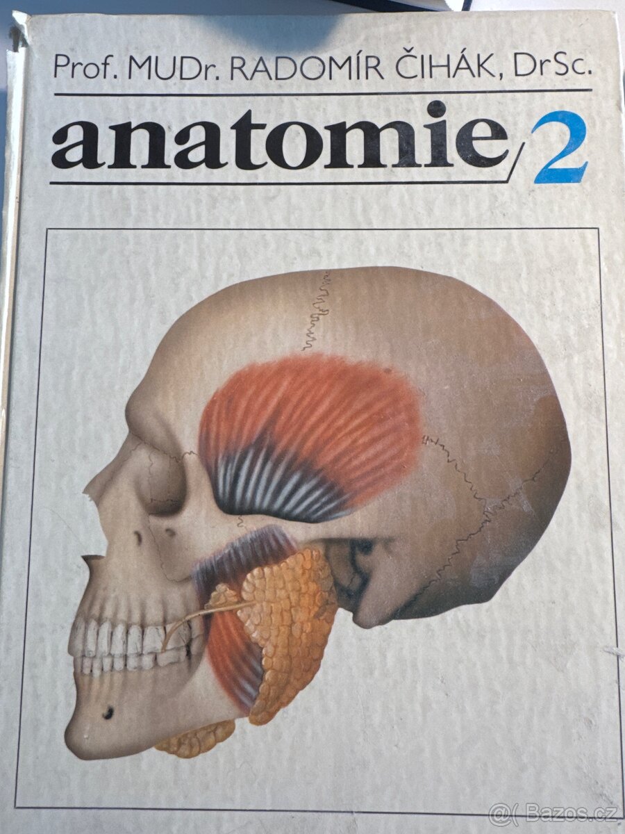 Anatomie 2, Čihák
