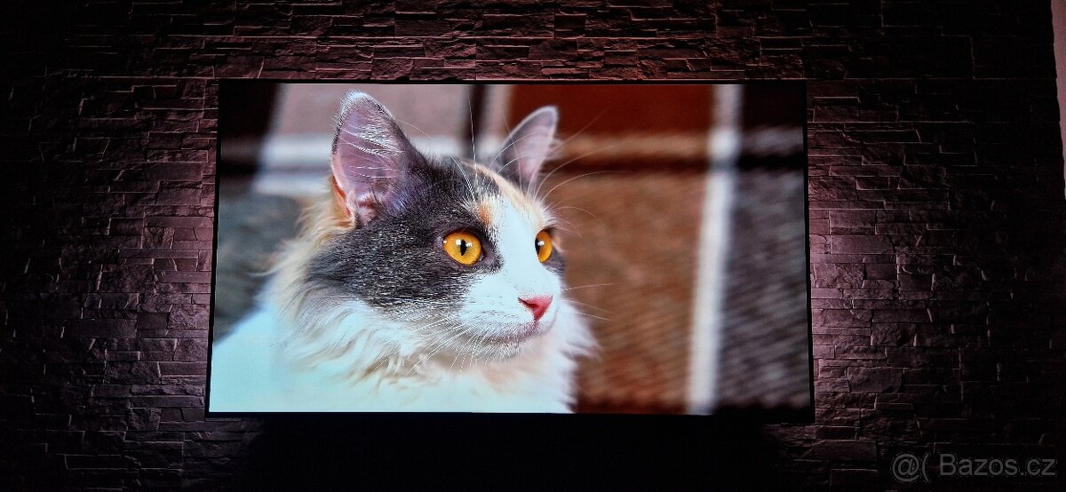 Televize Philips OLED 55"