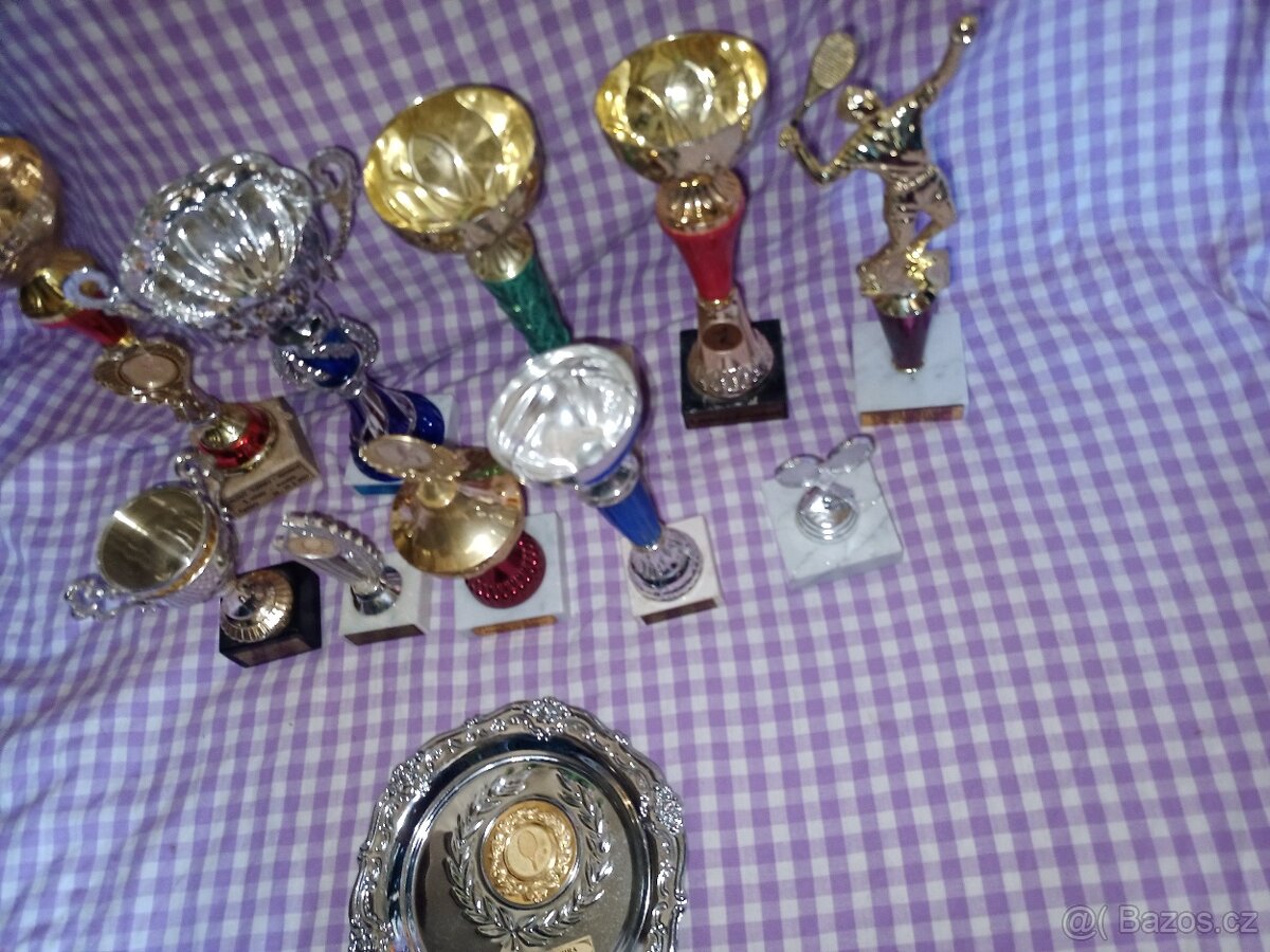 Prodám poháry, trofeje kus 50 Kč