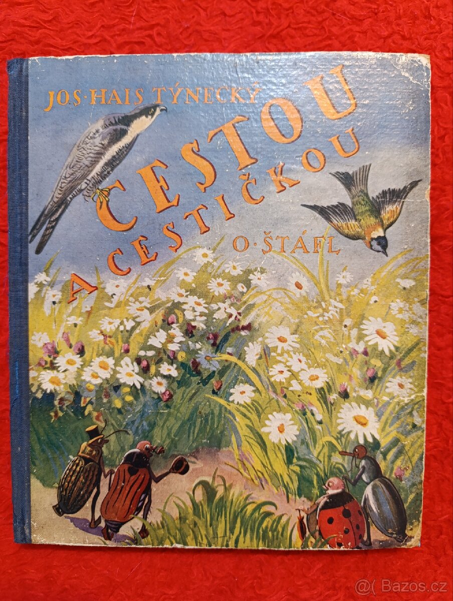 CESTOU A CESTIČKOU - J.H.Týnecký