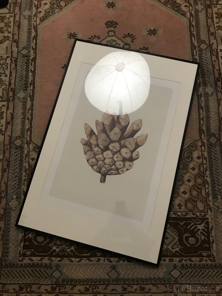 Rám Ikea Lomviken 91 × 61 cm