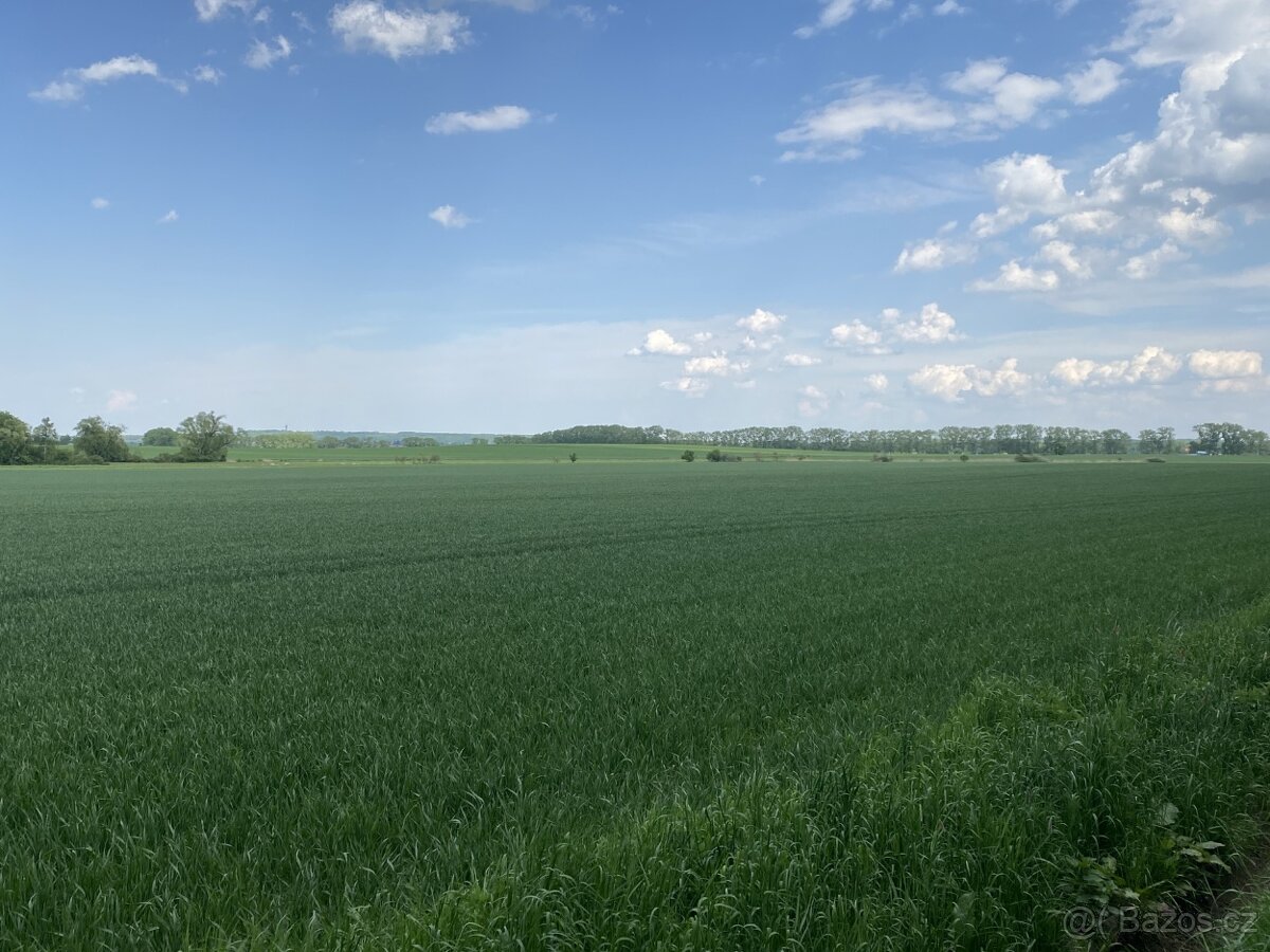 Orná půda, Městec Králové, okr. Nymburk - prodej dražbou