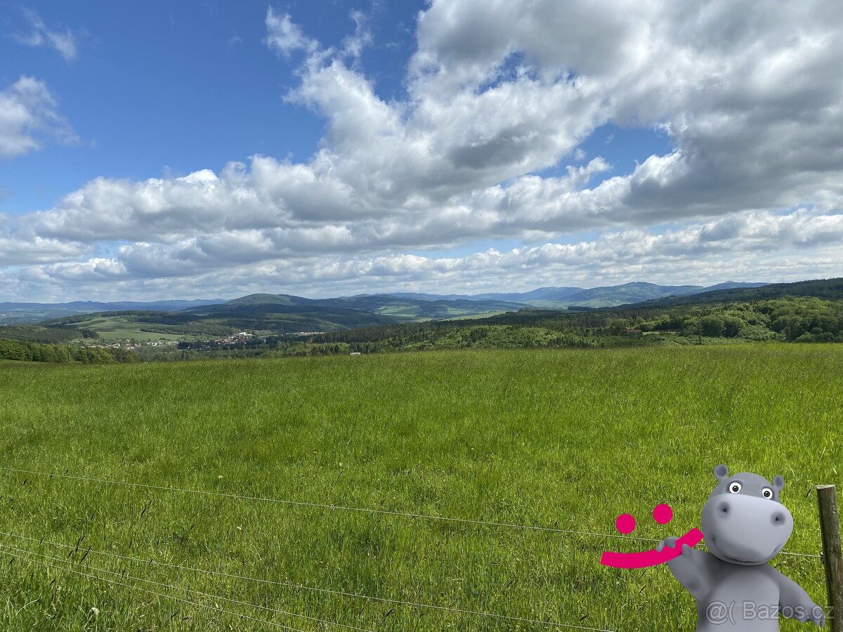 Prodej louky 5 517 m², Podkopná Lhota, ev.č. 58670