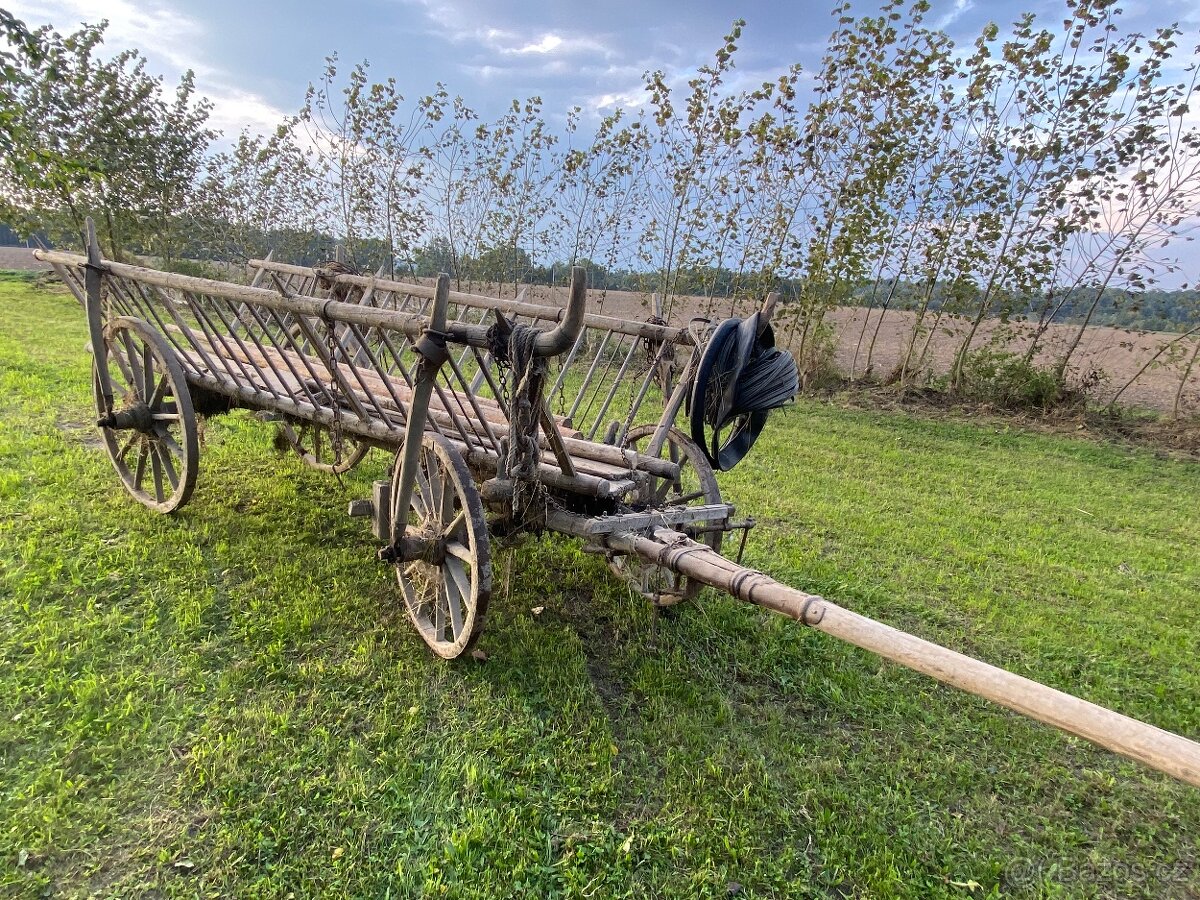 Dřevěný žebřiňak