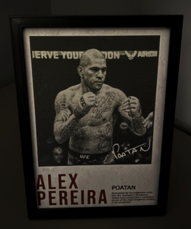 ❗️Prodej custom print-arts s UFC fightery dle výběru