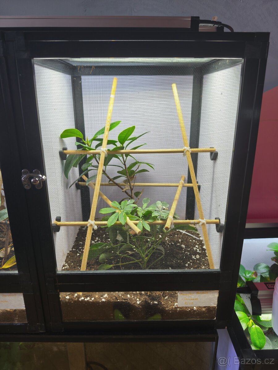 Vybavené flexarium