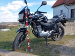 Honda 125 cbf  bouraná