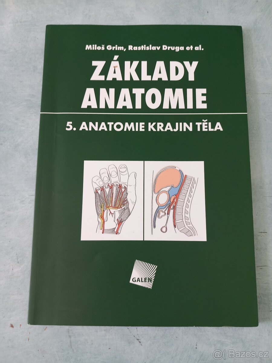 Grim - Základy anatomie 5 - Anatomie krajin těla