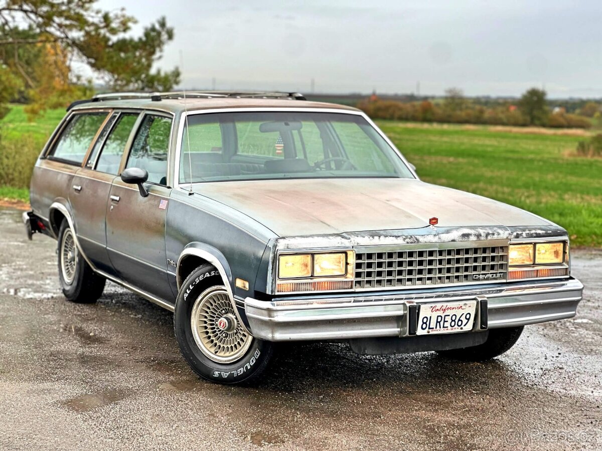 1983 Chevrolet Malibu Classic Wagon 5.0L V8 🇺🇸