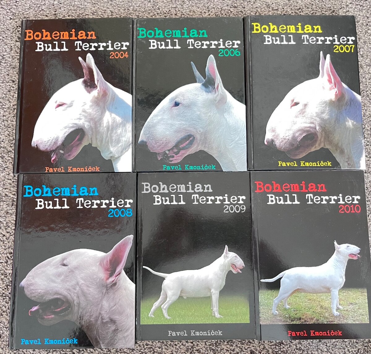 Bullterrier, Bull Terrier