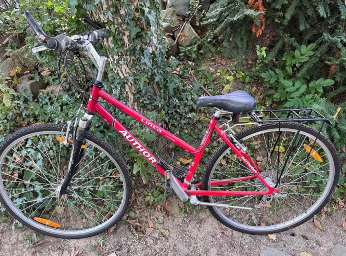 Dámské horské kolo