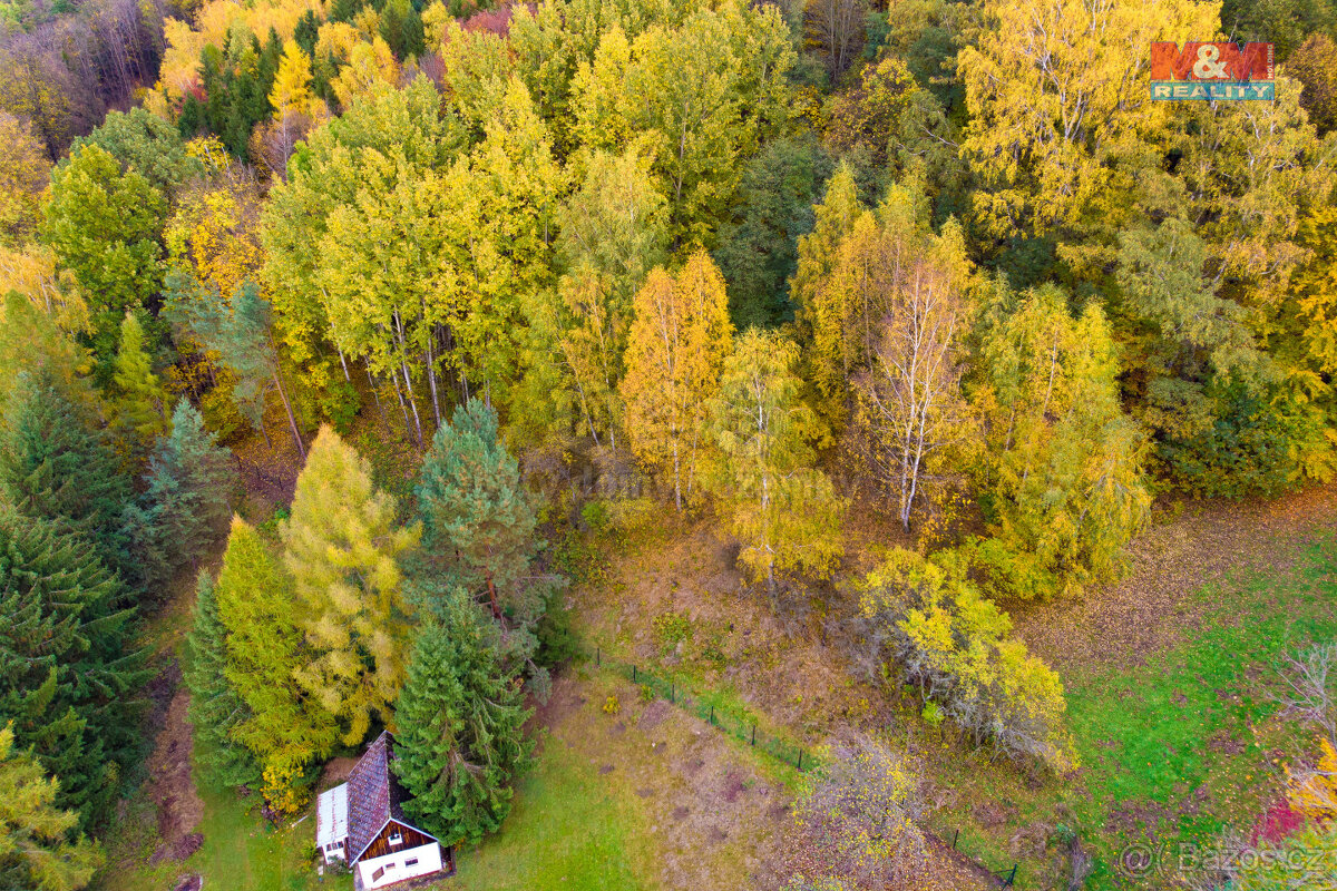 Prodej lesa, 3004 m², Skalice u České Lípy