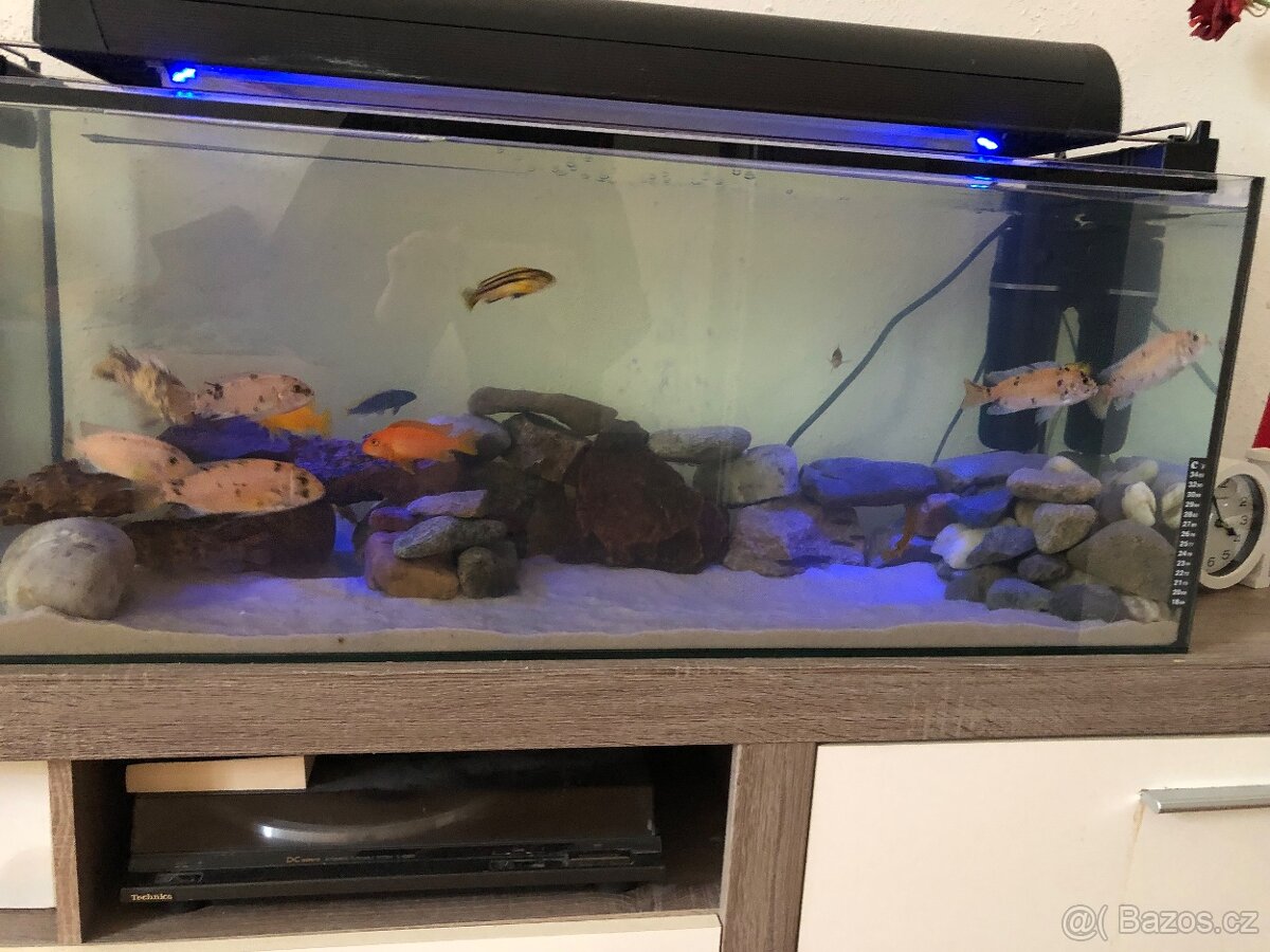 Akvarium 160 l + svetelna rampa