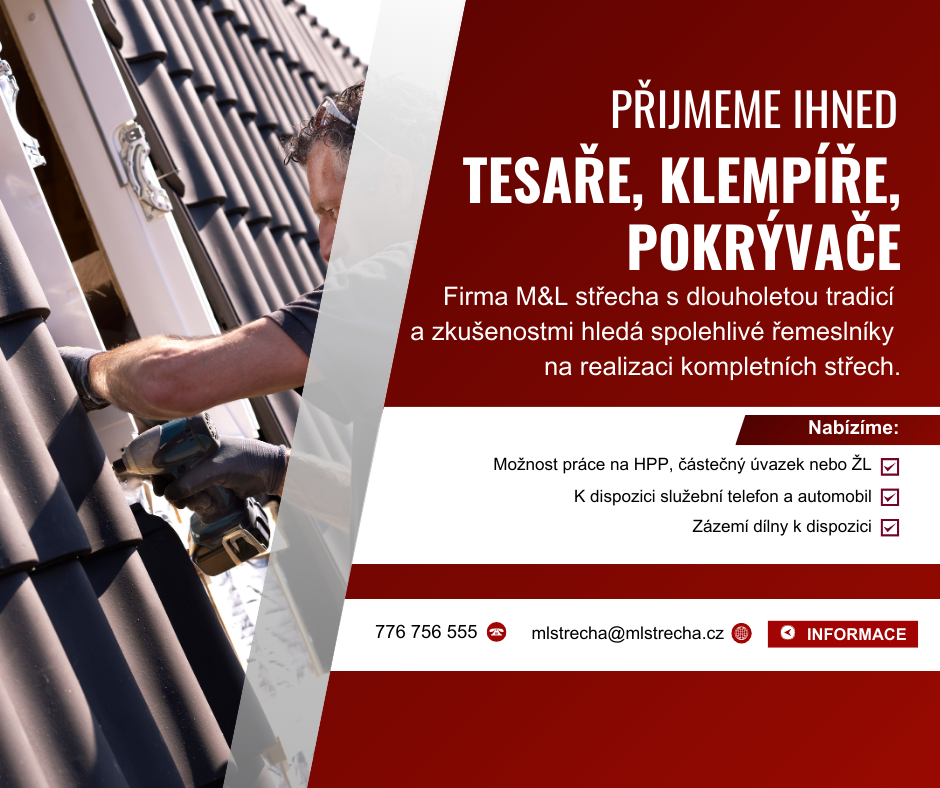 Přijmeme IHNED : Tesař, klempíř, pokrývač