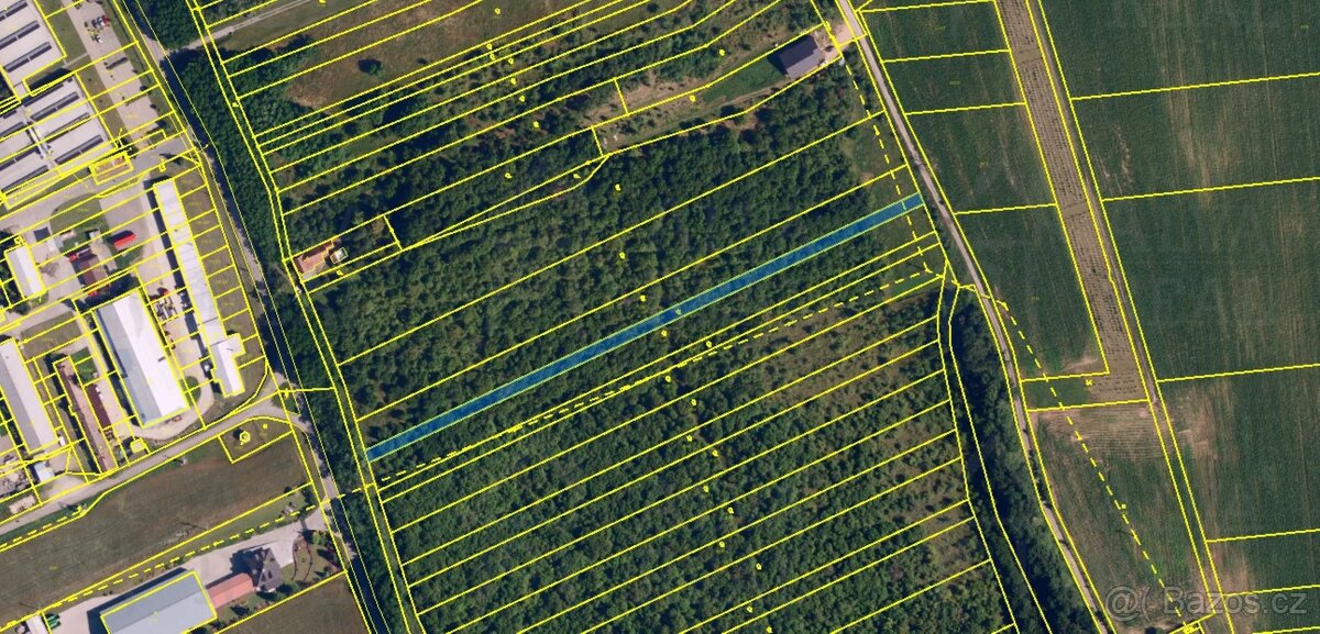 Exkluzivně nabízíme k prodeji ovocný sad o výměře 1850 m².