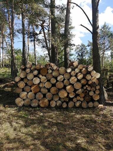Palivové dřevo